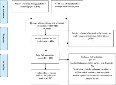 The role of breastfeeding as a protective factor against the development of the immune-mediated diseases: A systematic review